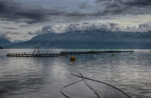 BridgeTechnologies-blog-Partners-No-man-is-an-island