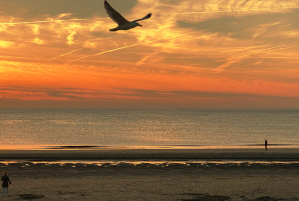 PR-Marketing-communications-with-direction-purpose-happy-new-year-blog-xpressocommunications-photo-fiorenza-mella