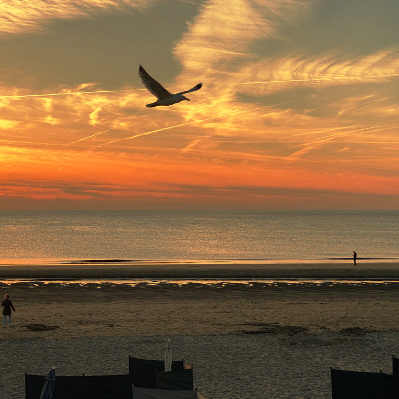 PR-Marketing-communications-with-direction-purpose-happy-new-year-blog-xpressocommunications-photo-fiorenza-mella