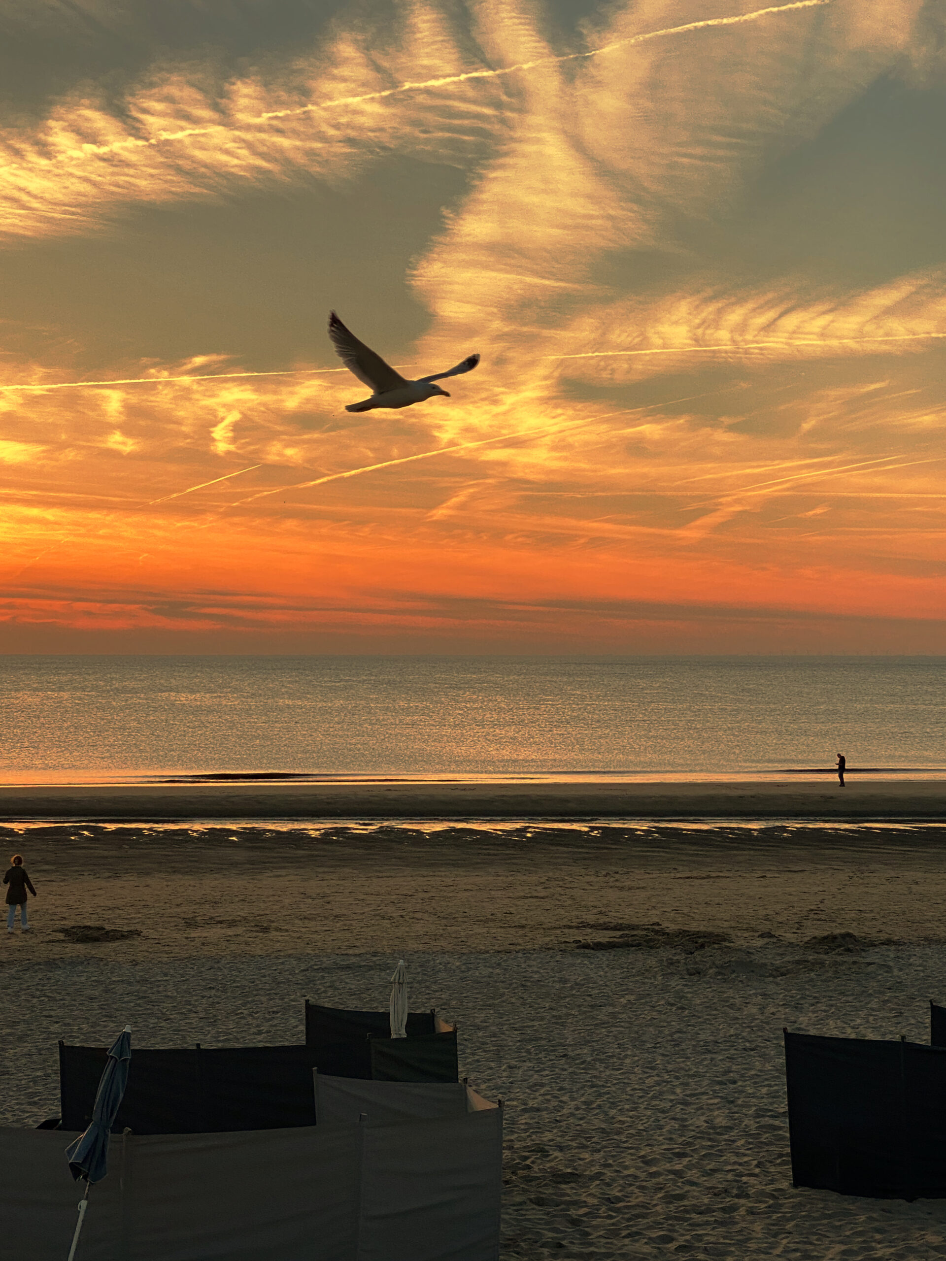 PR-Marketing-communications-with-direction-purpose-happy-new-year-blog-xpressocommunications-photo-fiorenza-mella