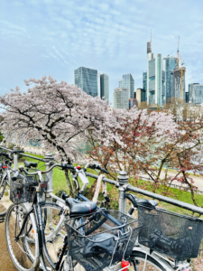 Spring-commununications-NAB2026-Blog