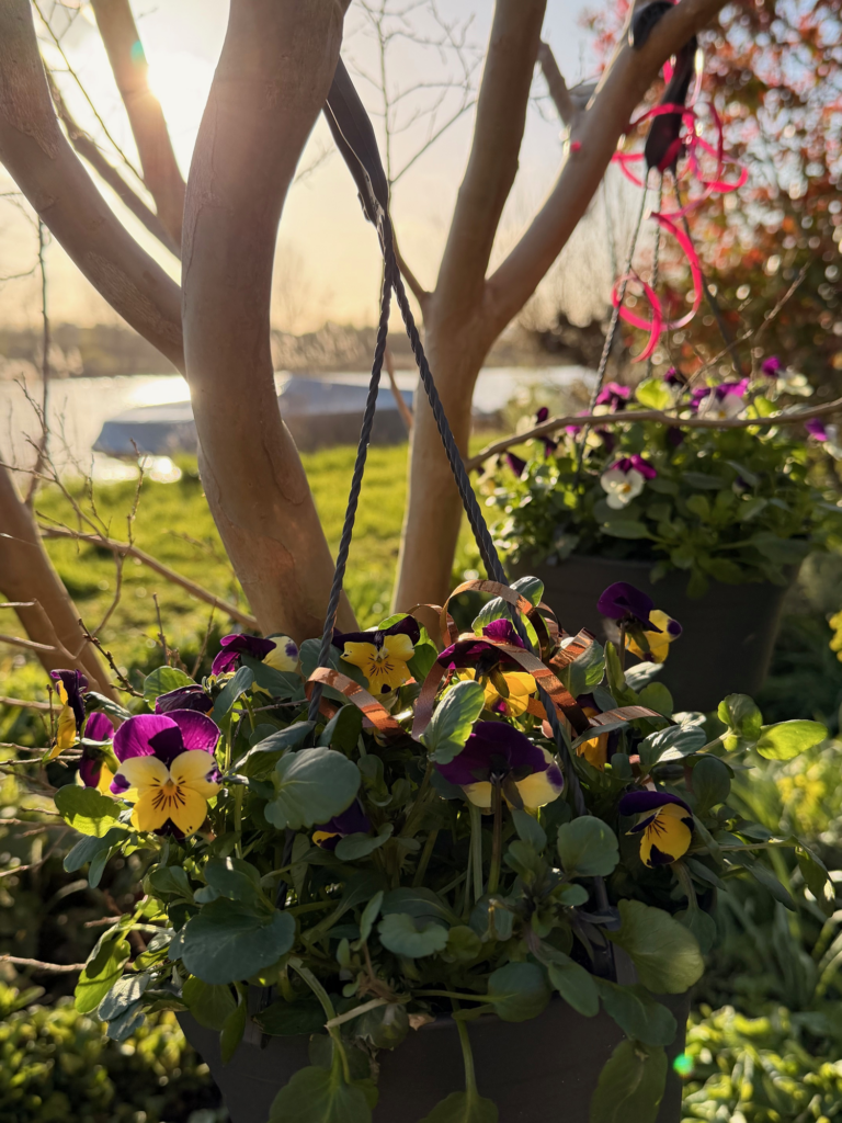 Spring-flowers-nature-communications-Xpresso-blog